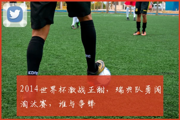 2014世界杯激战正酣，瑞典队勇闯淘汰赛，谁与争锋