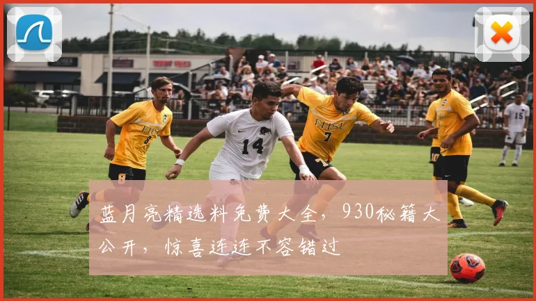 蓝月亮精选料免费大全，930秘籍大公开，惊喜连连不容错过